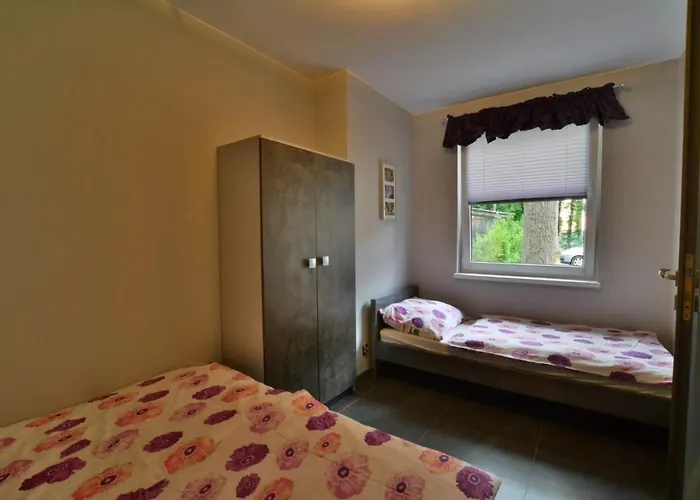 Prima * Реваль